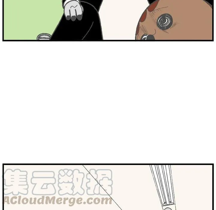 41 第7页