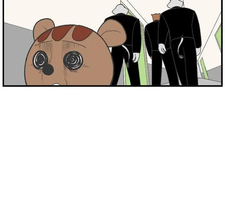 41 第8页