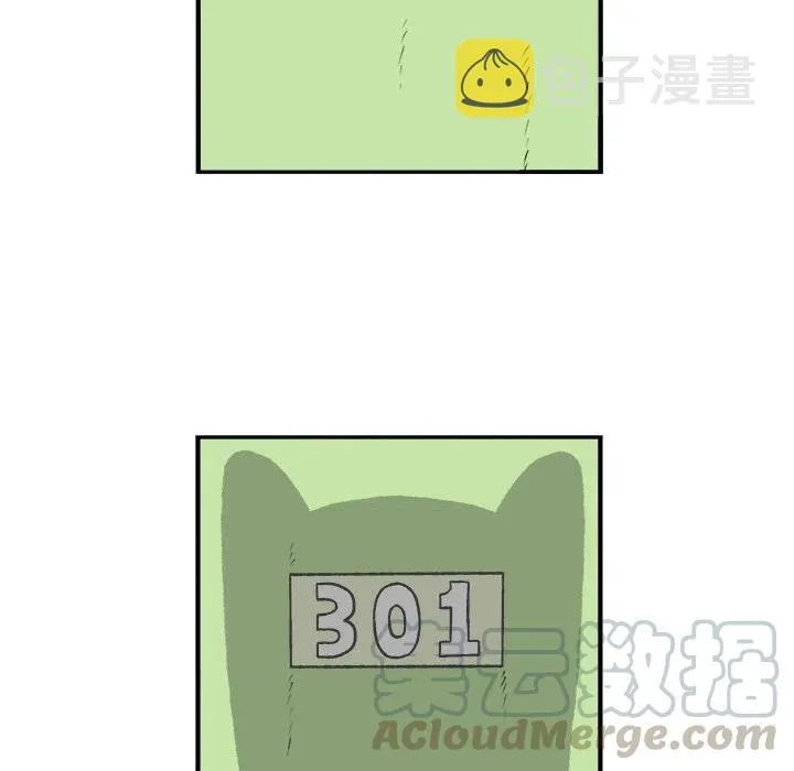 41 第13页