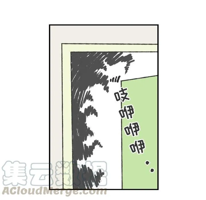 41 第16页
