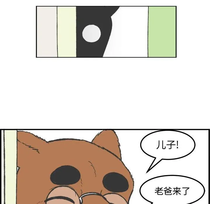 41 第17页