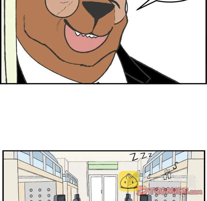 41 第18页