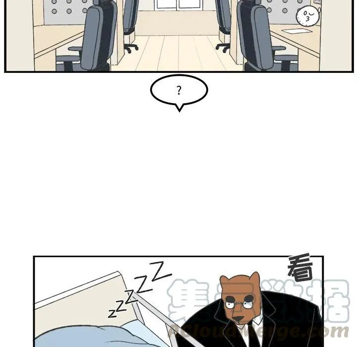 41 第19页