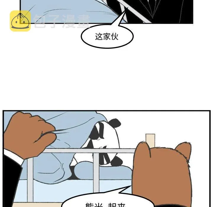 41 第20页