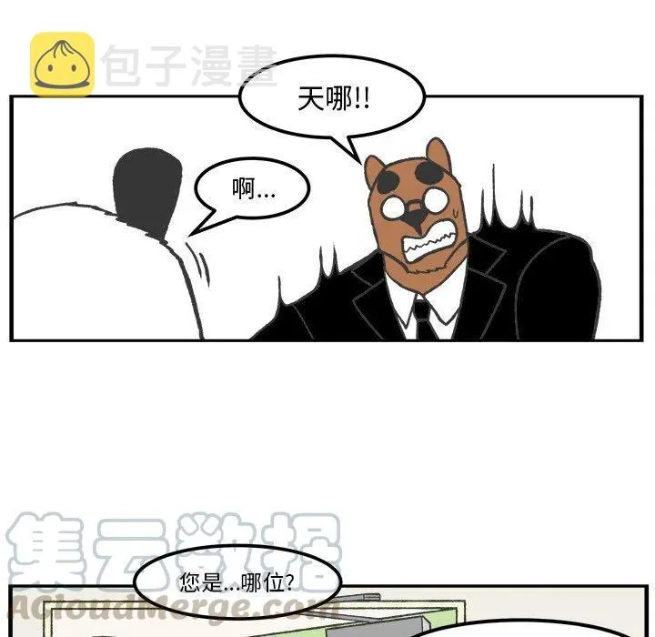 41 第22页