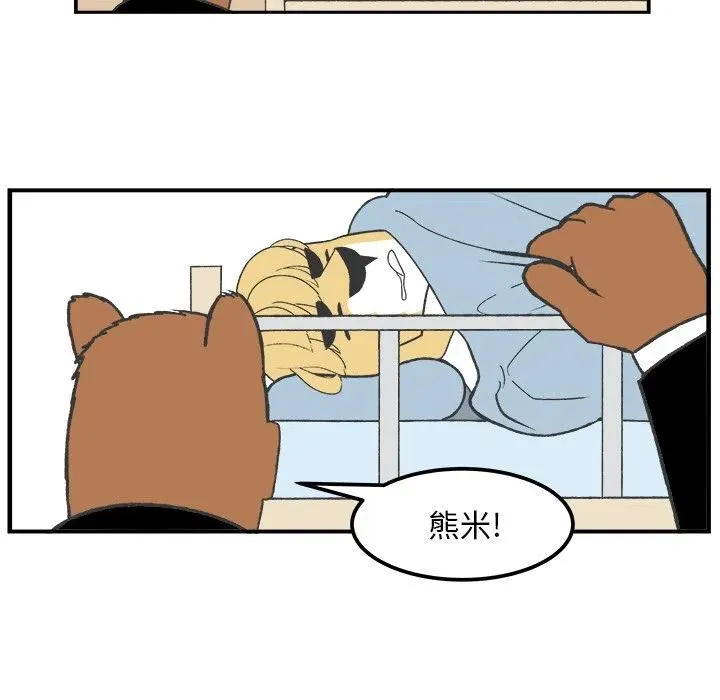 41 第24页