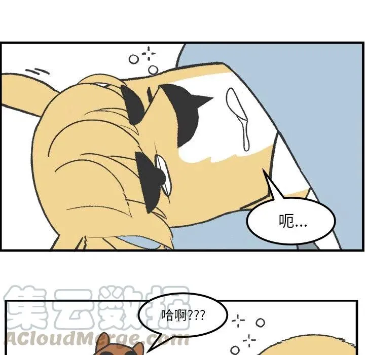 41 第25页