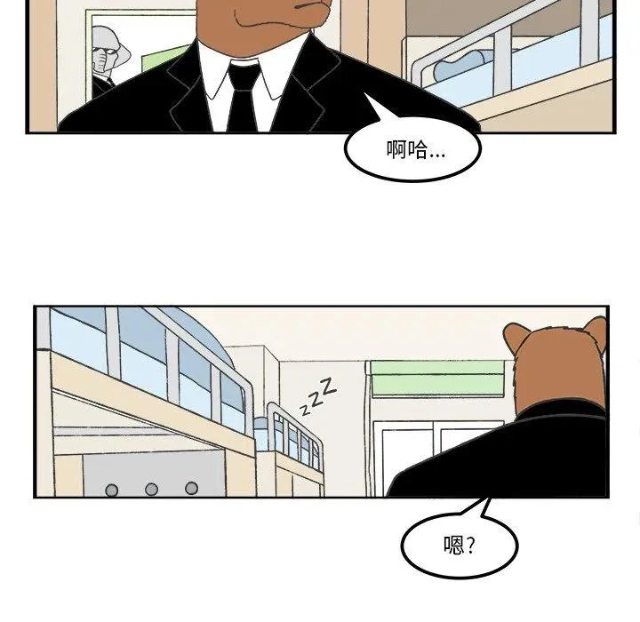 41 第29页