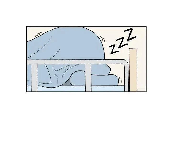 41 第30页