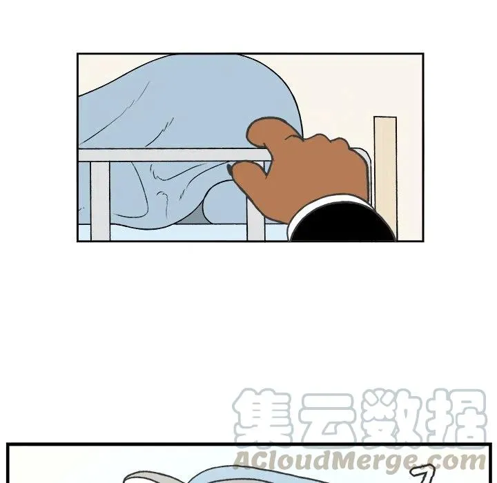 41 第31页