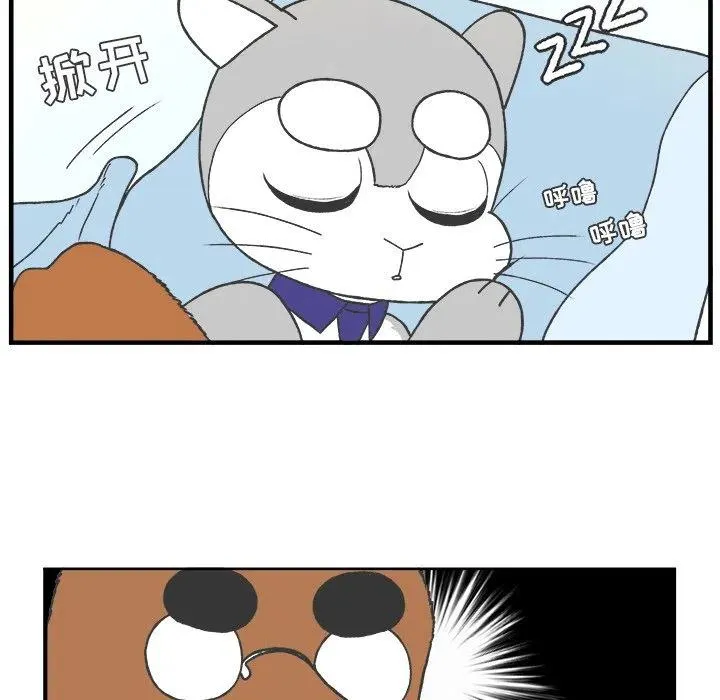 41 第32页