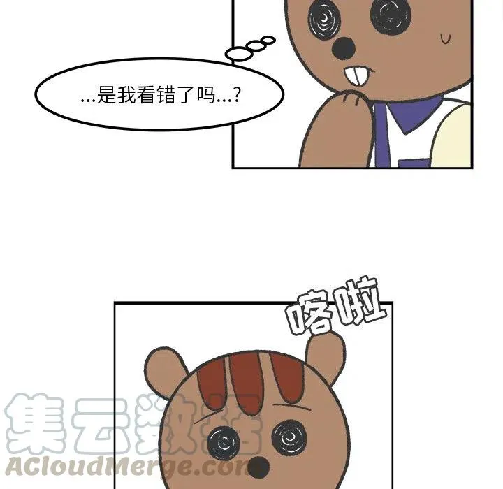 41 第37页