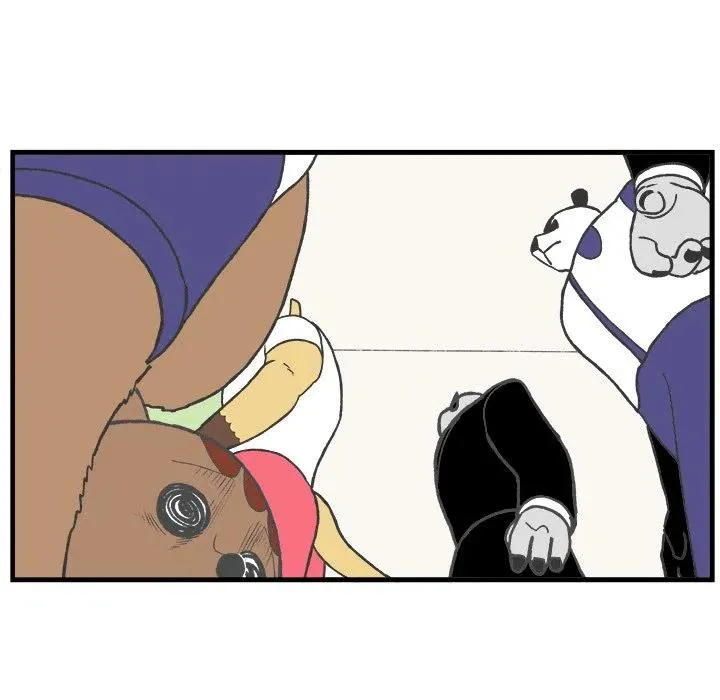 41 第41页