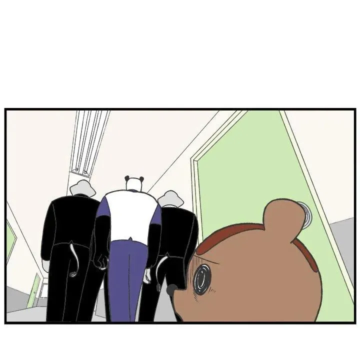 41 第42页