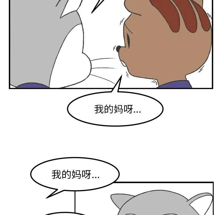 41 第45页