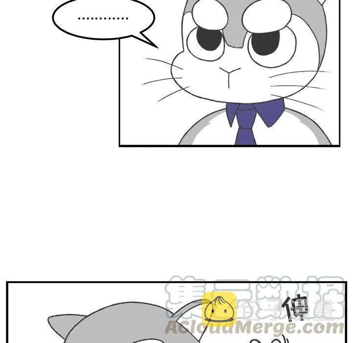 41 第46页
