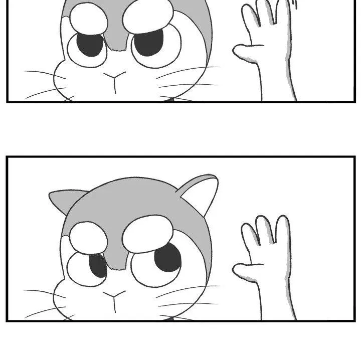 41 第47页
