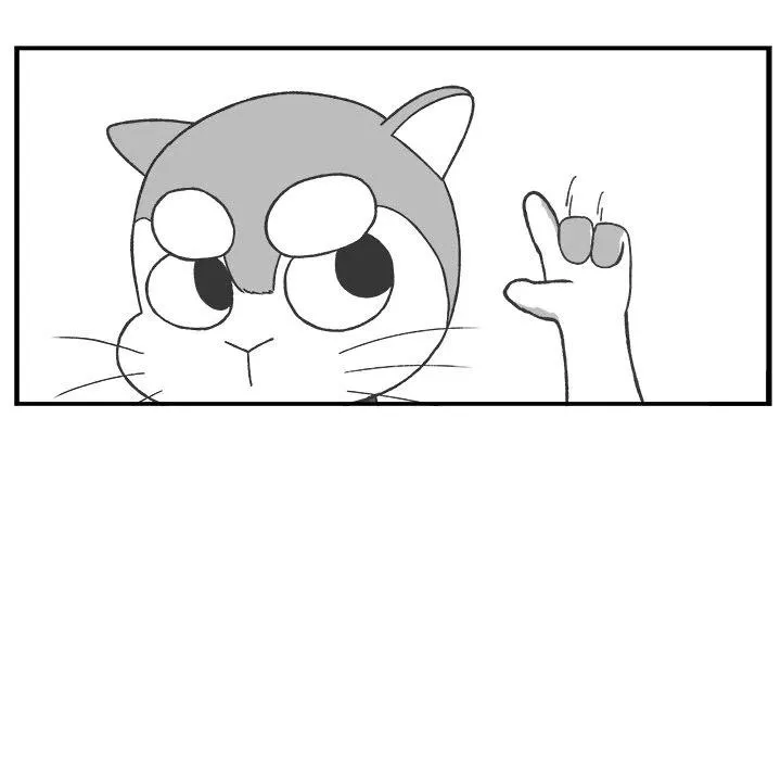 41 第48页