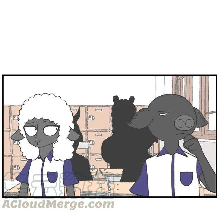 42 第41页