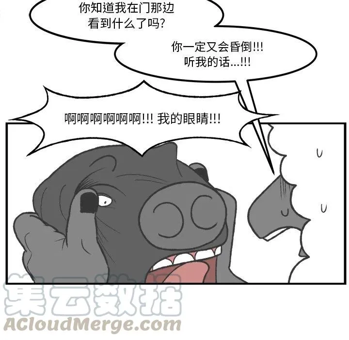 43 第7页