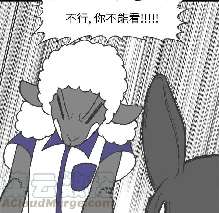 43 第11页