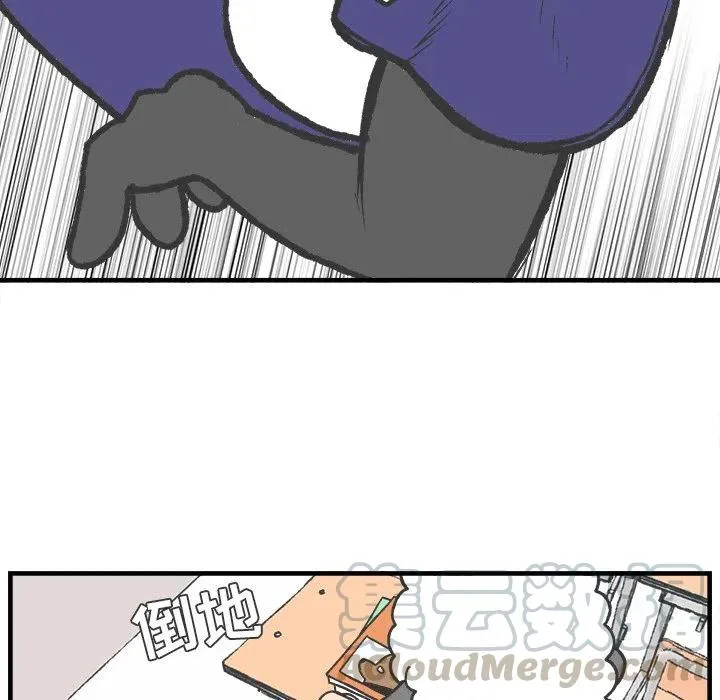 43 第13页