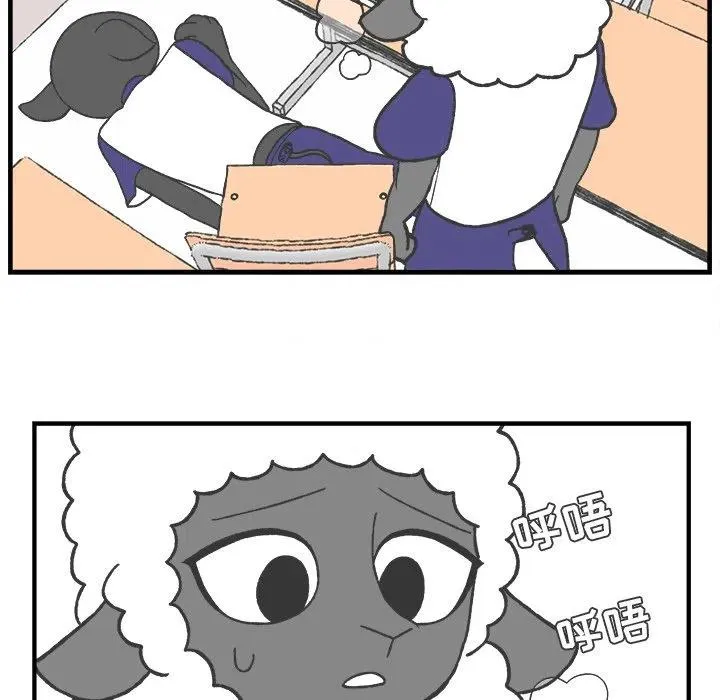 43 第14页