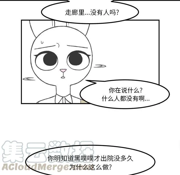 43 第17页