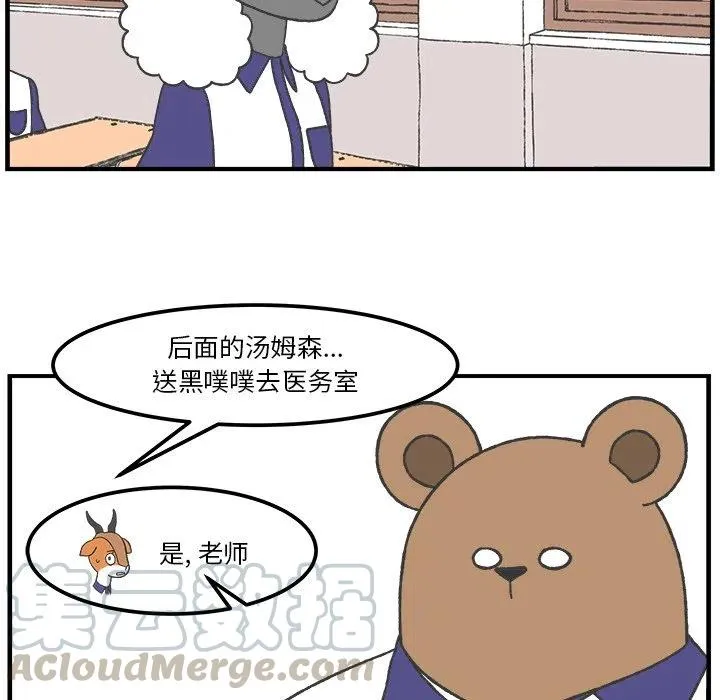 43 第19页