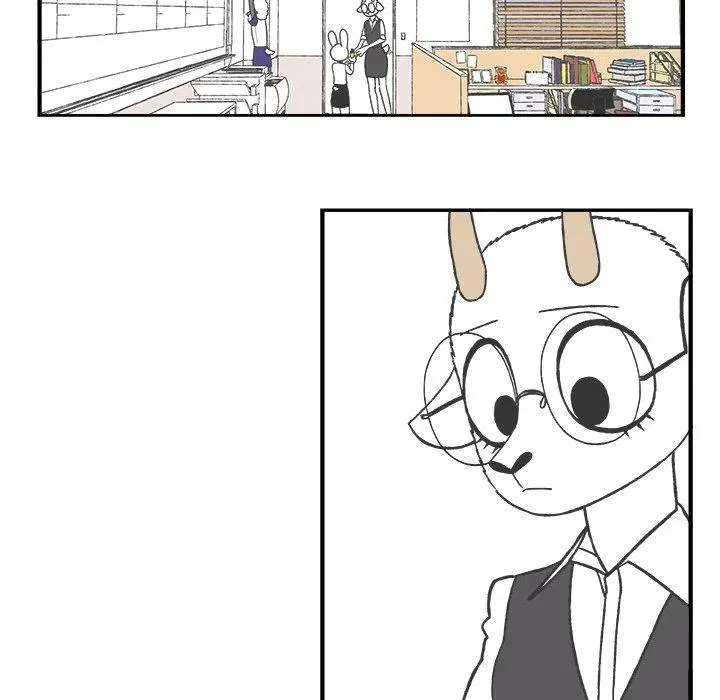 43 第24页