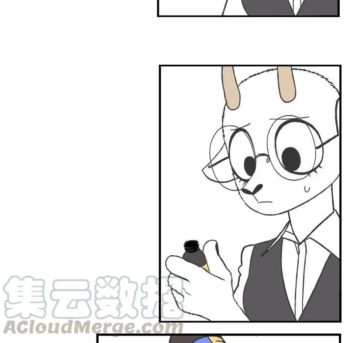 43 第25页