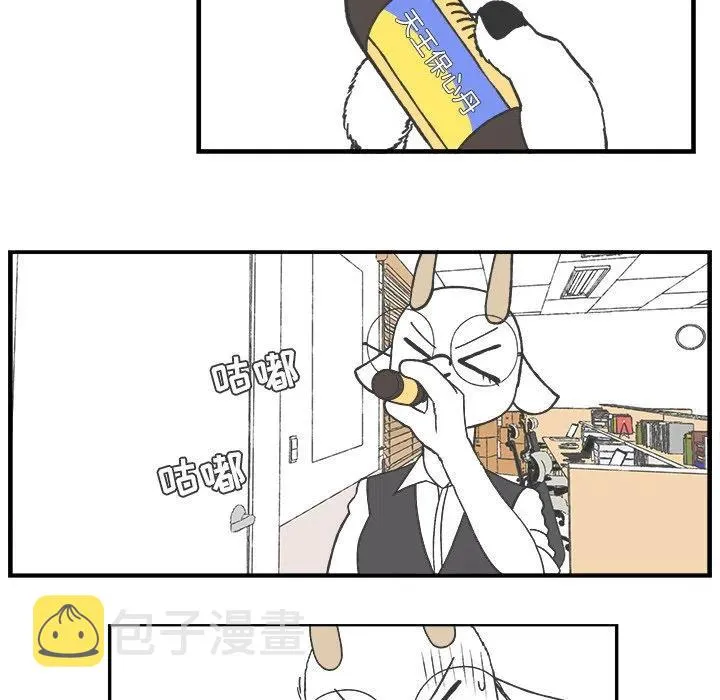 43 第26页