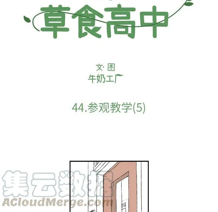 44 第13页
