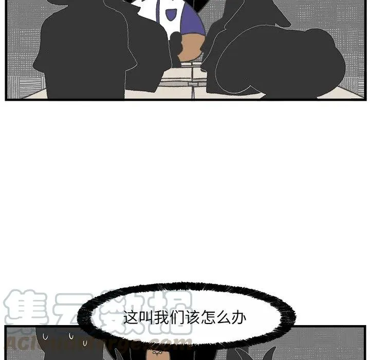 44 第41页