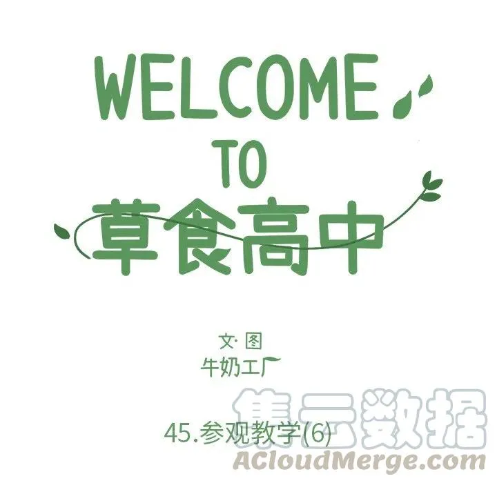 45 第13页