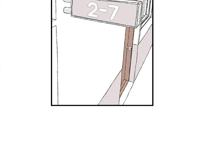 46 第3页