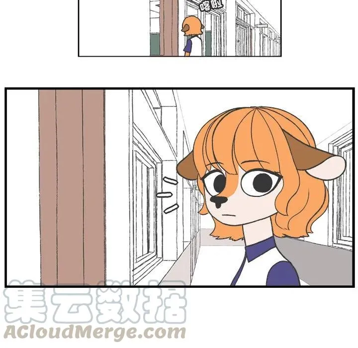 46 第10页