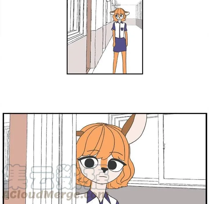 46 第13页