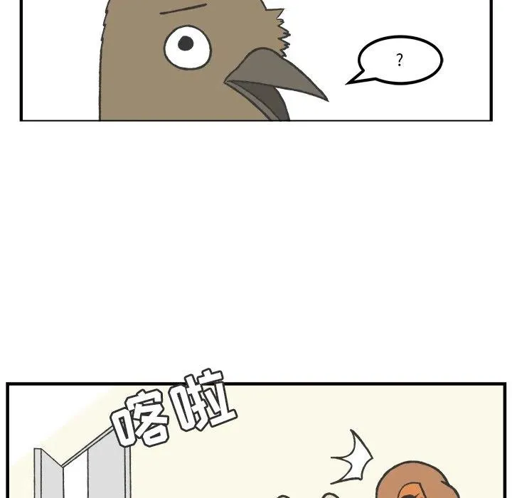 46 第41页