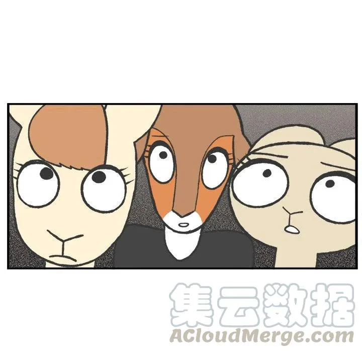 46 第43页
