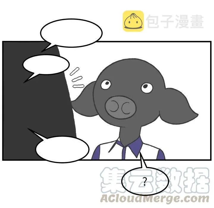 48 第13页