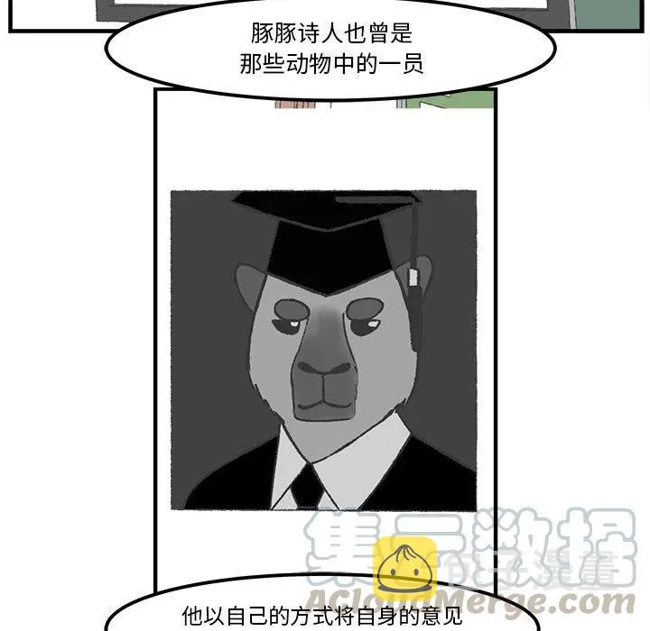 48 第19页