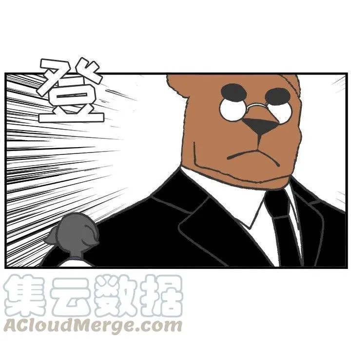 48 第40页