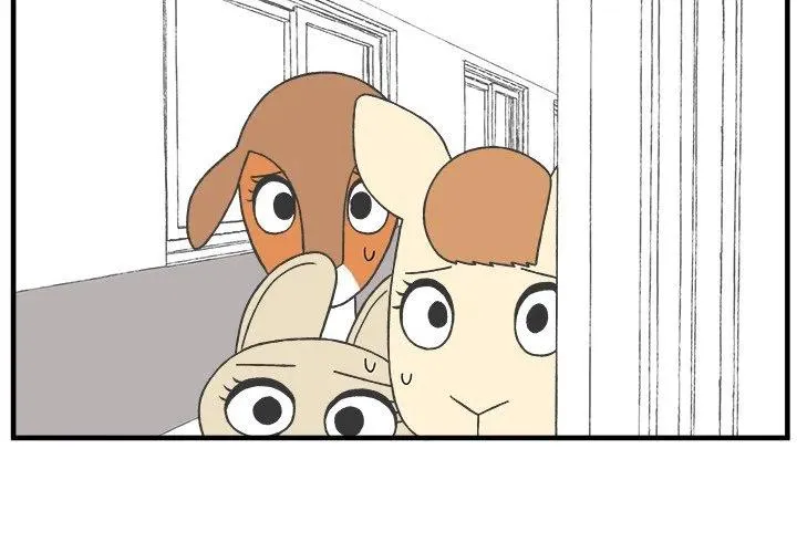 47 第4页
