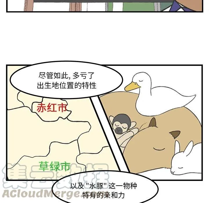47 第21页