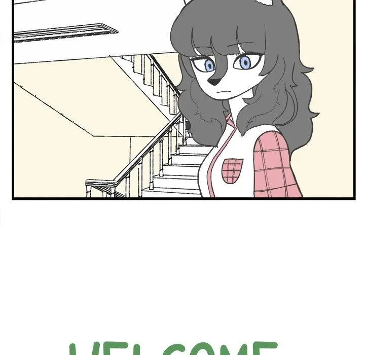 49 第8页