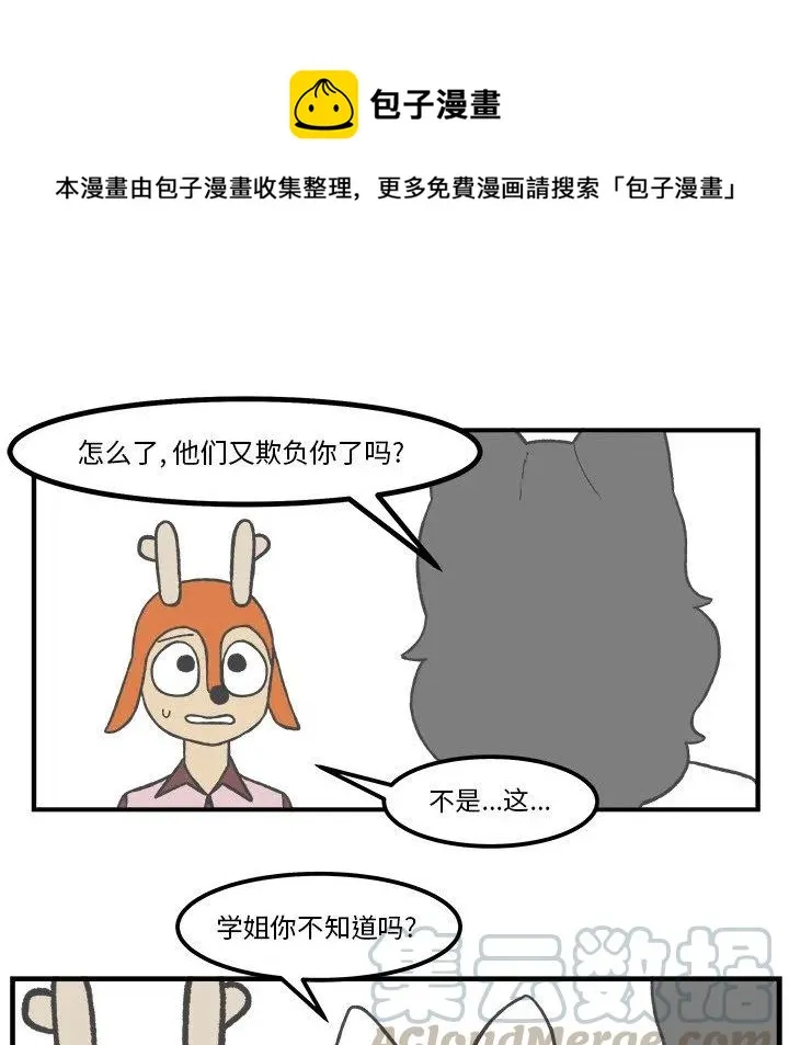 49 第10页
