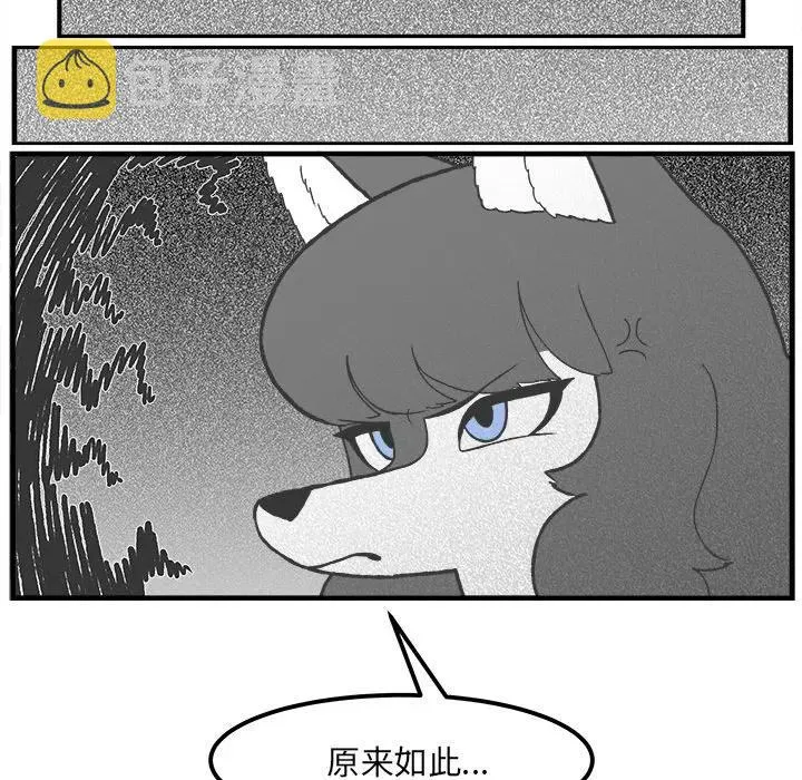 49 第17页