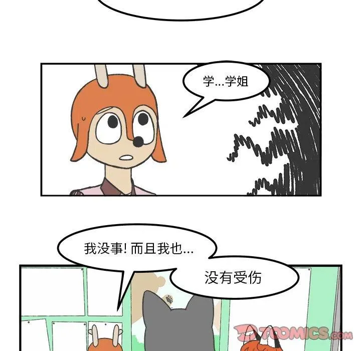 49 第18页