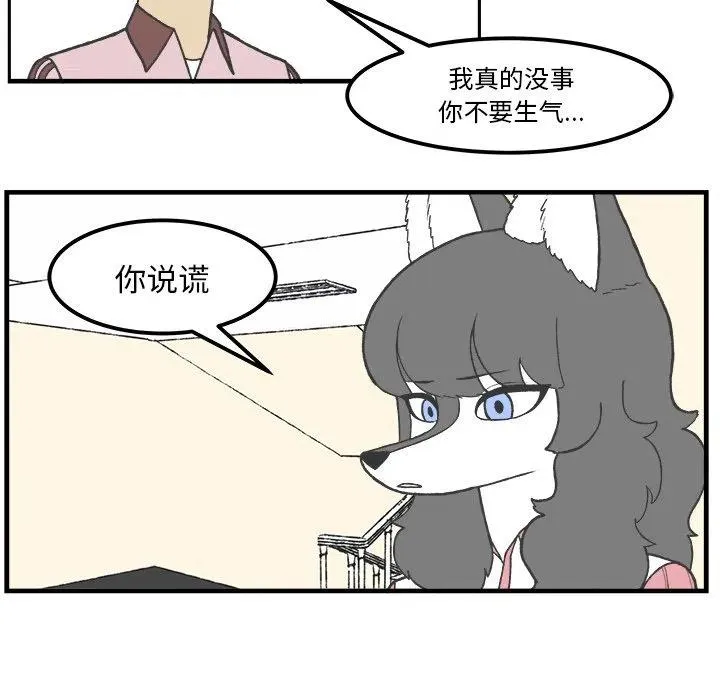 49 第20页